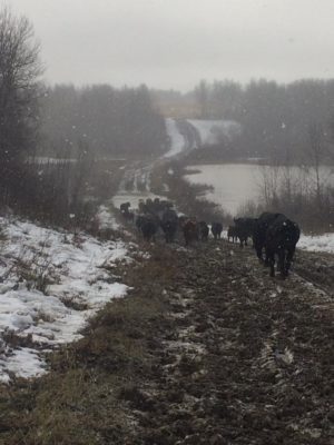 Rural Saskatchewan